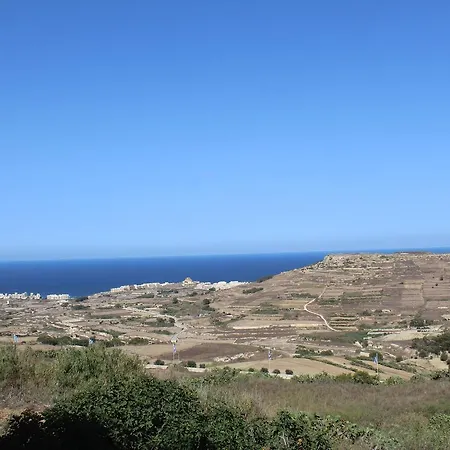 Gozo Zen *